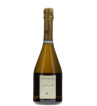 De Sousa Champagne Cuvée des Caudalies Vintage 2010