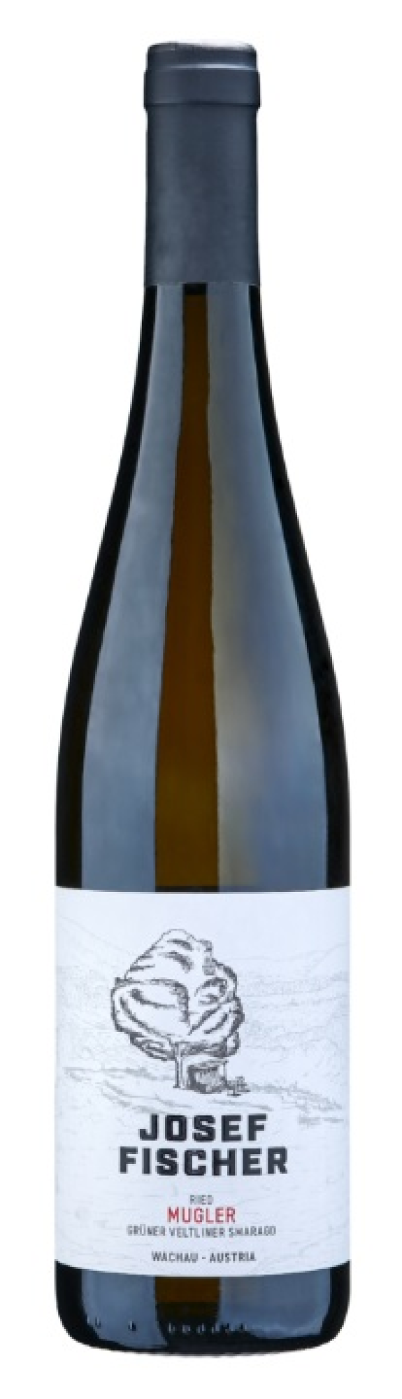 Josef Fischer Wachau Ried Mugler Smaragd Grüner Veltliner