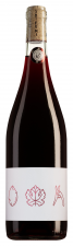 Anne Collard Vin de France SHI FU MI  -  Magnum