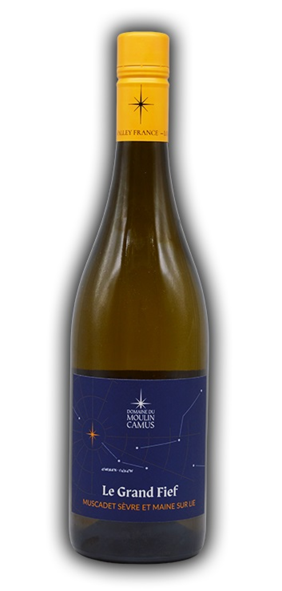 Domaine du Moulin Camus  Le Grand Fief  Muscadet Sèvre et Maine Sur Lie