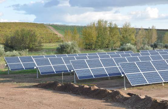 Duurzame wijnbouw - zonnepanelen in de wijngaard